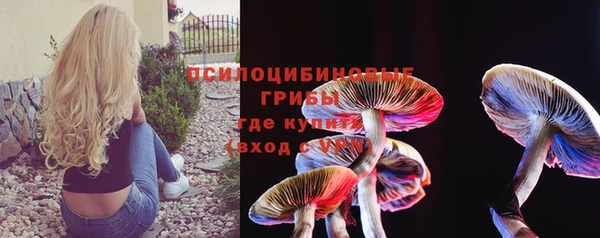 скорость Алзамай