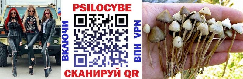 blacksprut рабочий сайт  Асино  Псилоцибиновые грибы мицелий 